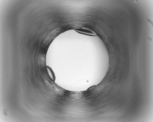 X0000101420288200807280945