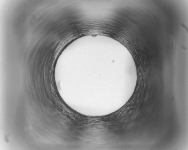 X0000101420289200807280944