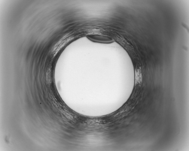 X0000101420291200807280944
