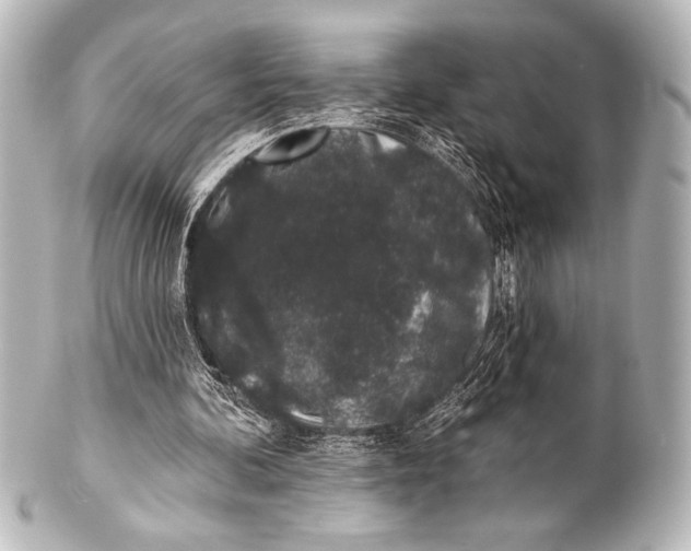 X0000101420292200807280944