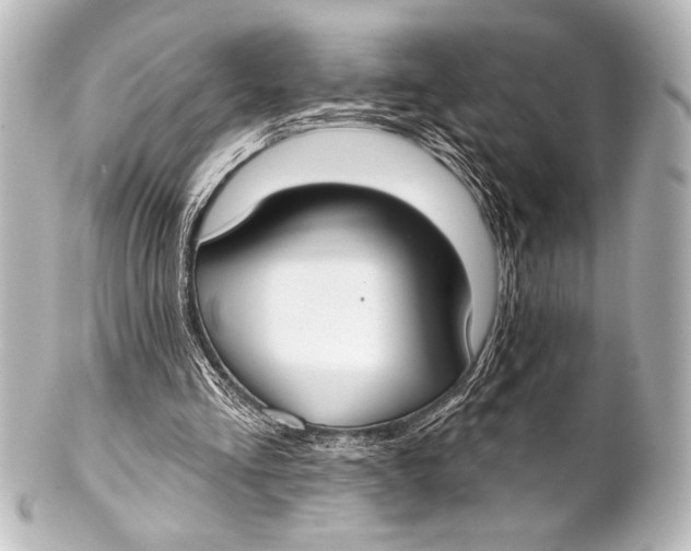 X0000101420293200807280944