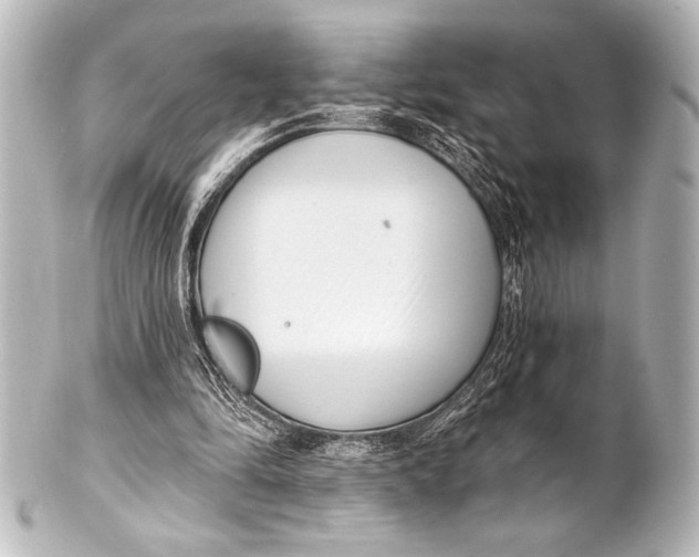 X0000101420294200807280944