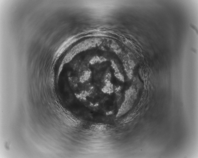 X0000101420295200807280944