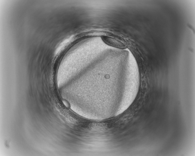 X0000101420296200807280944