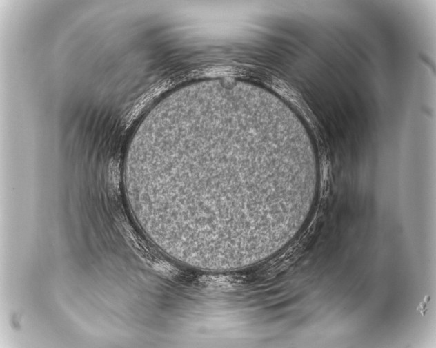 X0000101420297200807280944