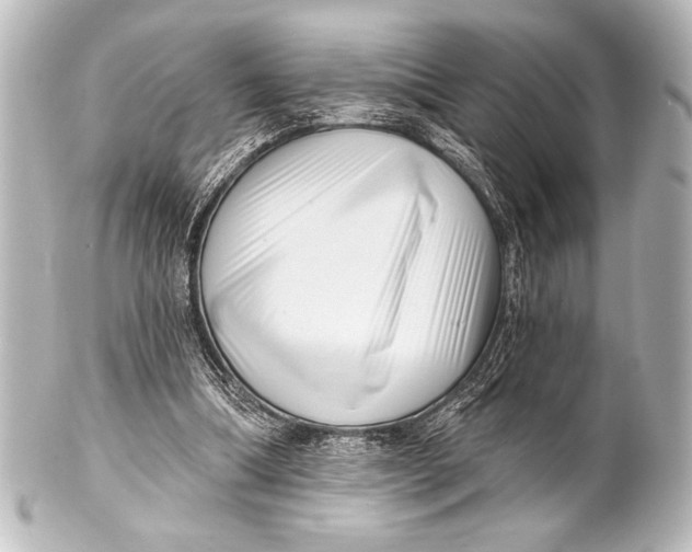 X0000101420298200807280944