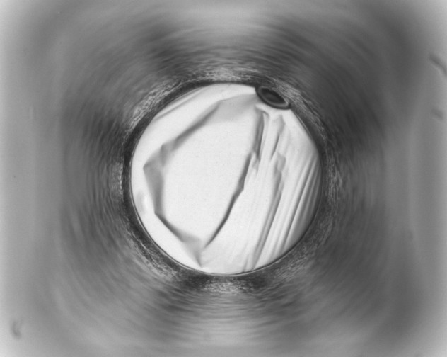 X0000101420299200807280944
