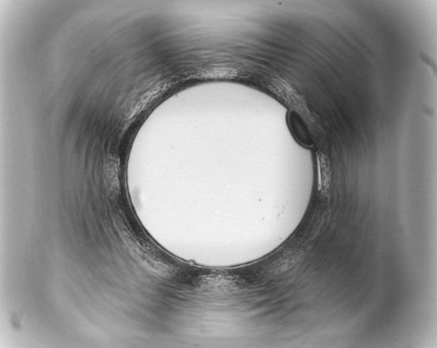 X0000101420300200807280944