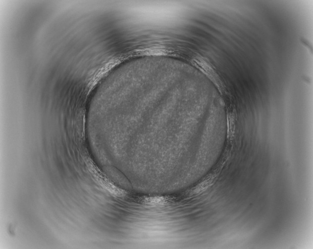X0000101420301200807280944