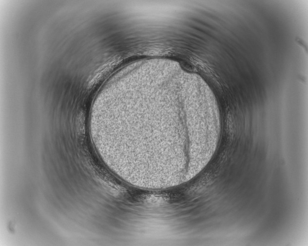X0000101420303200807280944