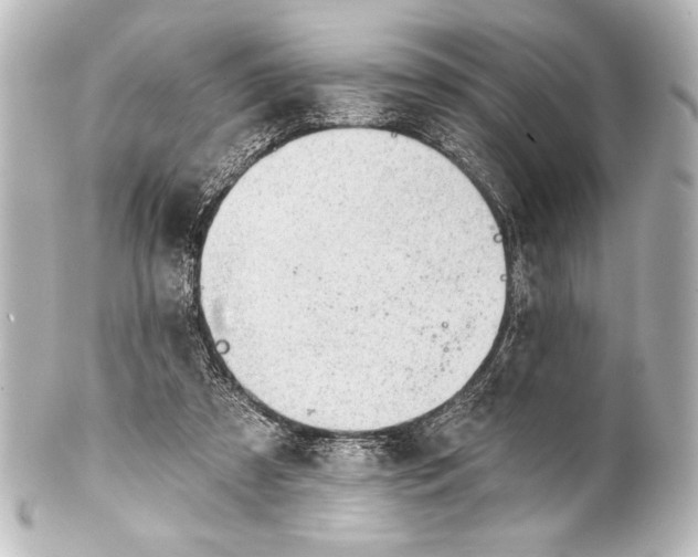 X0000101420305200807280944