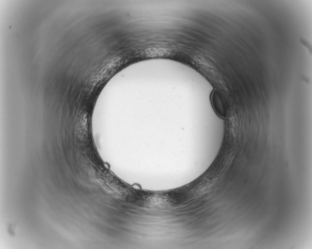 X0000101420308200807280944
