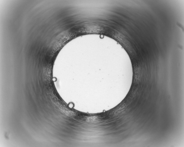 X0000101420309200807280944