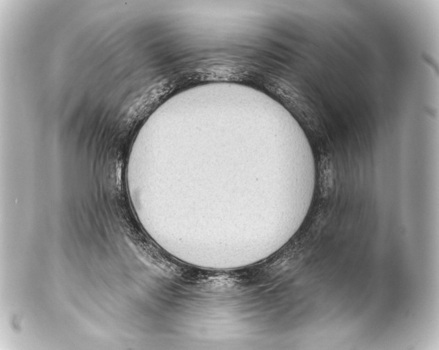 X0000101420310200807280944