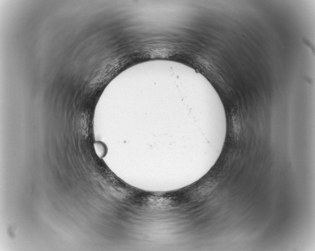 X0000101420311200807280944