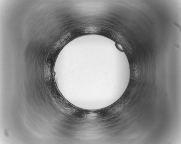 X0000101420312200807280944