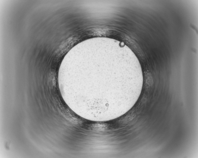 X0000101420313200807280944