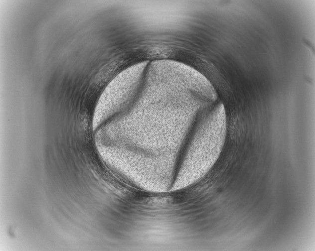 X0000101420314200807280944