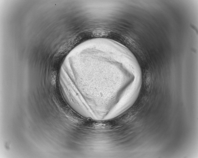 X0000101420315200807280944