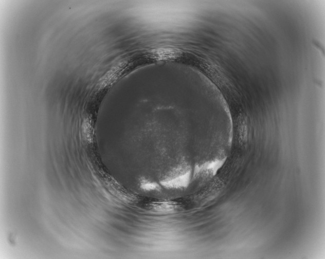 X0000101420316200807280944