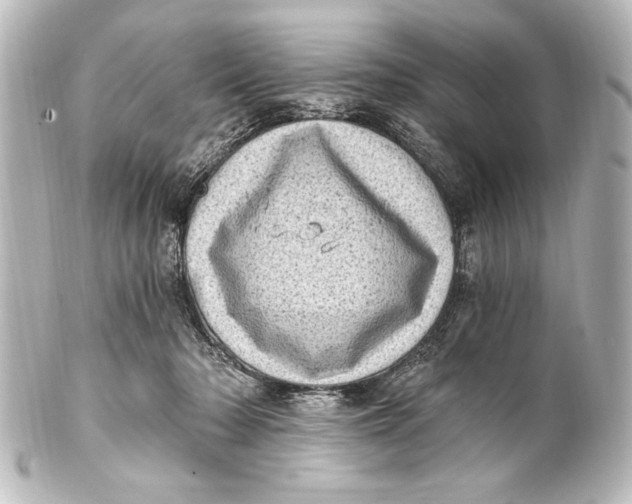 X0000101420318200807280944