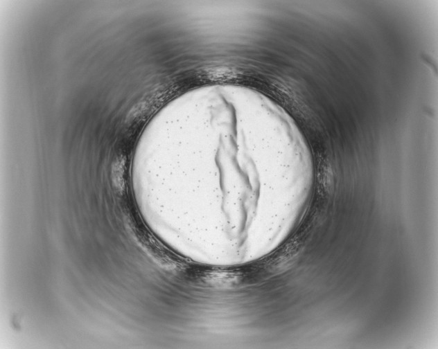 X0000101420319200807280944