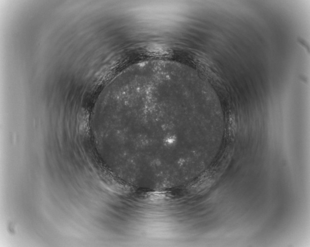 X0000101420320200807280944