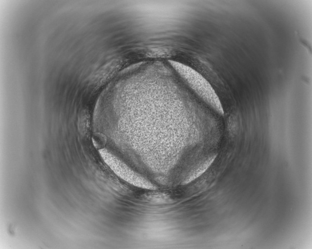X0000101420322200807280944