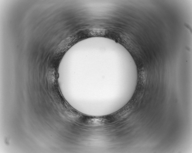 X0000101420323200807280944