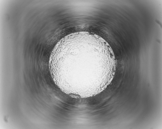 X0000101420324200807280944