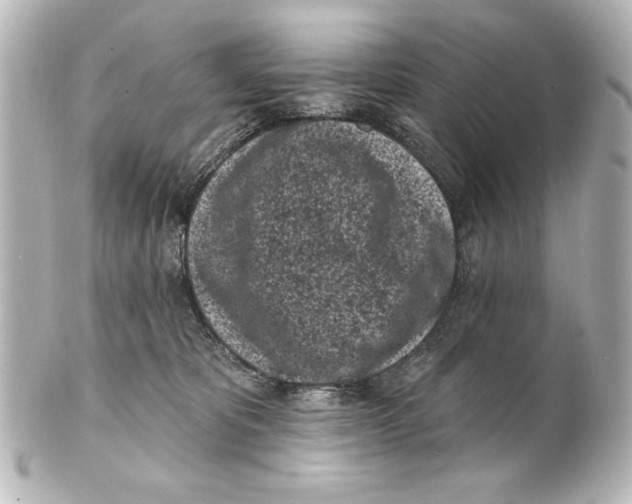 X0000101420325200807280944