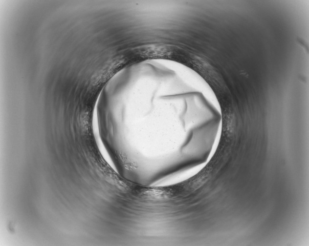 X0000101420326200807280944