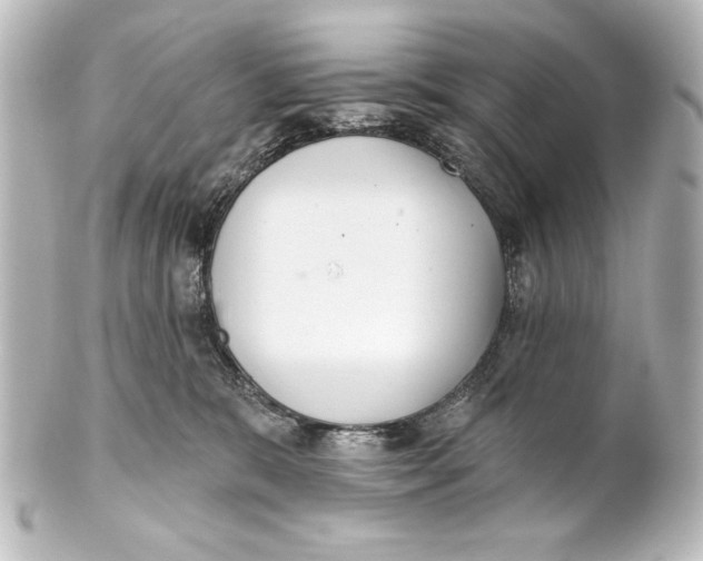 X0000101420327200807280944