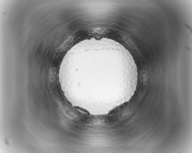 X0000101420328200807280944