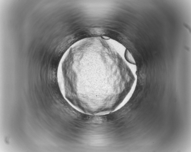 X0000101420330200807280944