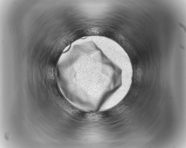 X0000101420331200807280944
