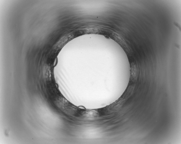 X0000101420333200807280944
