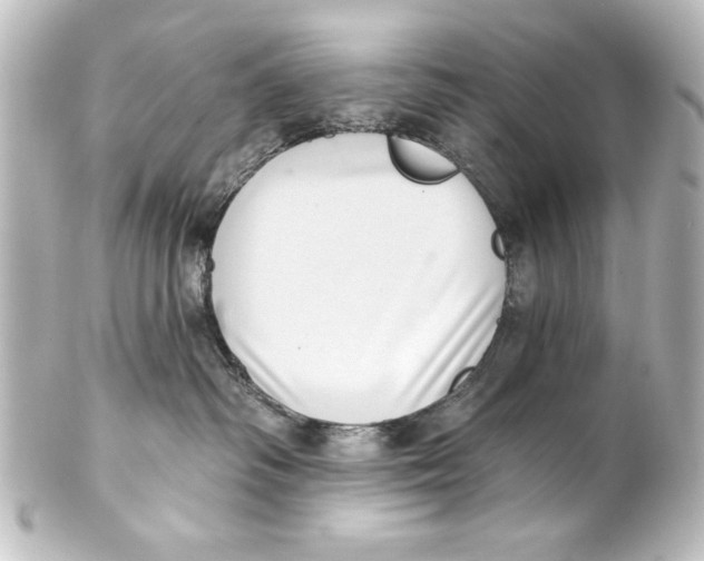X0000101420334200807280944