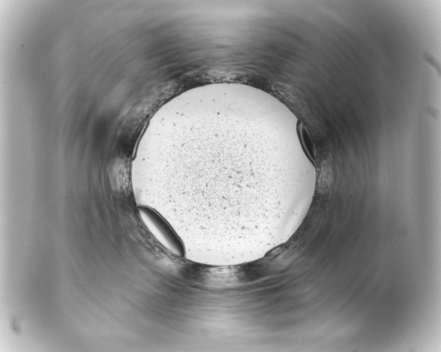 X0000101420335200807280944