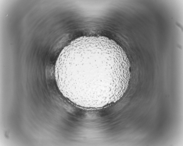 X0000101420336200807280943
