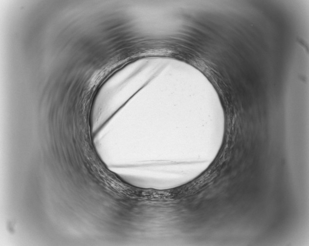 X0000101420337200807280943