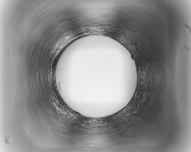 X0000101420338200807280943