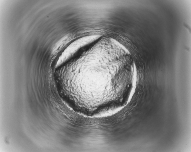 X0000101420339200807280943