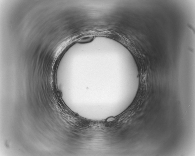 X0000101420340200807280943