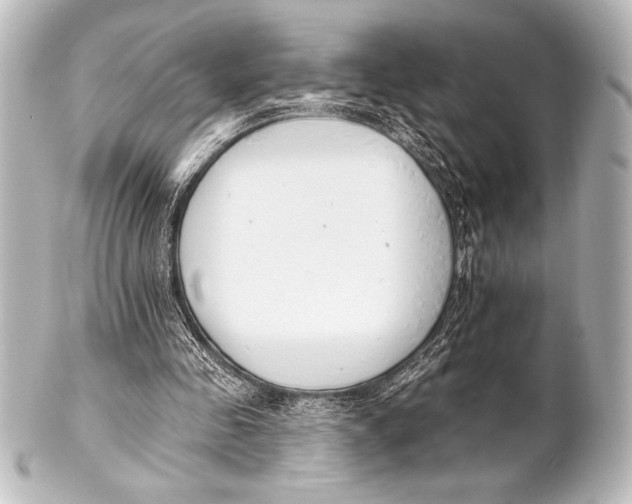 X0000101420341200807280943