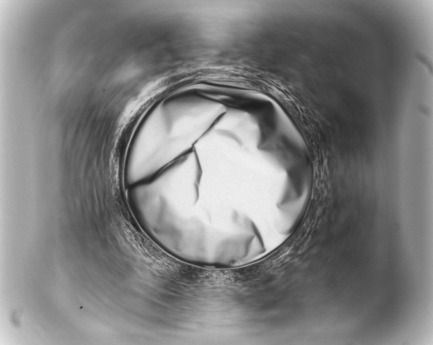 X0000101420343200807280943