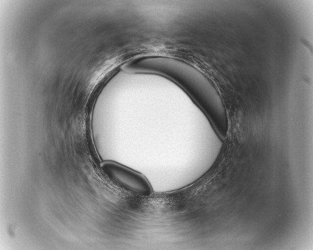 X0000101420344200807280943