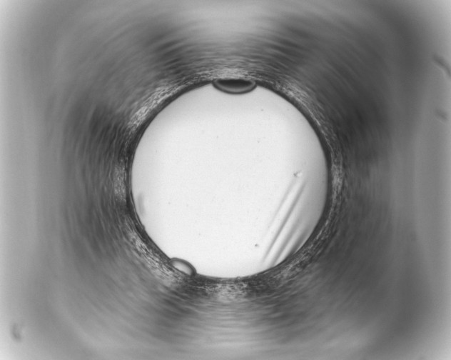 X0000101420345200807280943