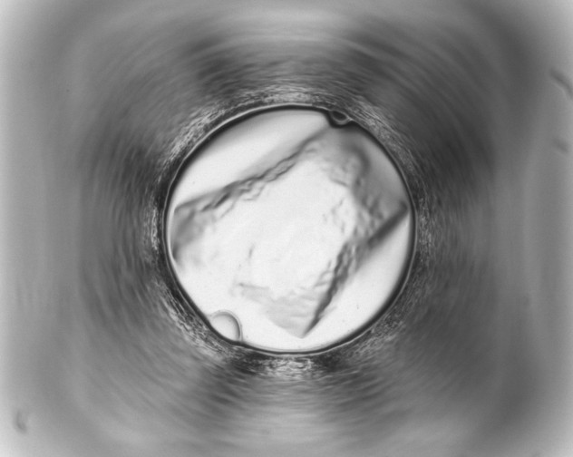 X0000101420347200807280943