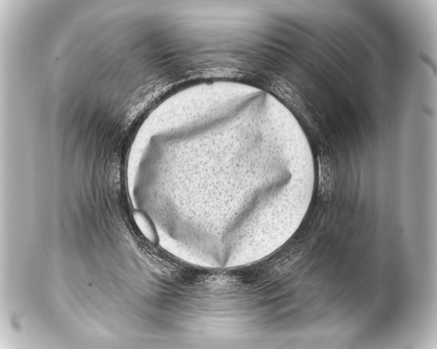 X0000101420348200807280943